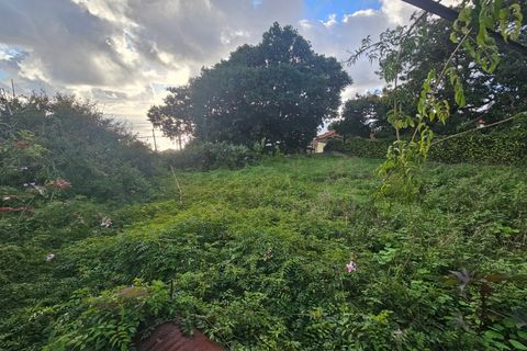 Villa i Caniço, Madeira, Caniço - € 290.000 | Ref: IC_1324 - foto 16