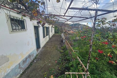 Villa i Caniço, Madeira, Caniço - € 290.000 | Ref: IC_1324 - foto 17