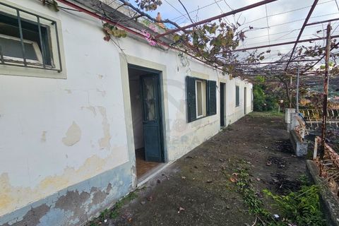 Villa i Caniço, Madeira, Caniço - € 290.000 | Ref: IC_1324 - foto 18