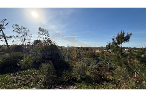 Helårsgrund i Obidos, Leiria, Obidos - € 410.000 | Ref: EL2026585 - foto 4