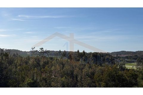 Helårsgrund i Obidos, Leiria, Obidos - € 410.000 | Ref: EL2026585 - foto 6