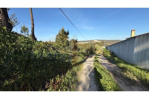 Helårsgrund i Obidos, Leiria, Obidos - € 410.000 | Ref: EL2026585 - foto 7