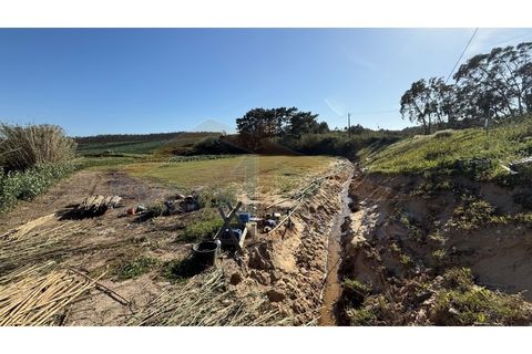 Helårsgrund i Obidos, Leiria, Obidos - € 410.000 | Ref: EL2026585 - foto 8