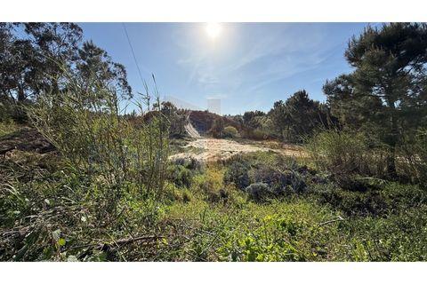 Helårsgrund i Obidos, Leiria, Obidos - € 410.000 | Ref: EL2026585 - foto 11