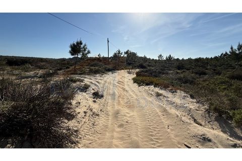 Helårsgrund i Obidos, Leiria, Obidos - € 410.000 | Ref: EL2026585 - foto 13