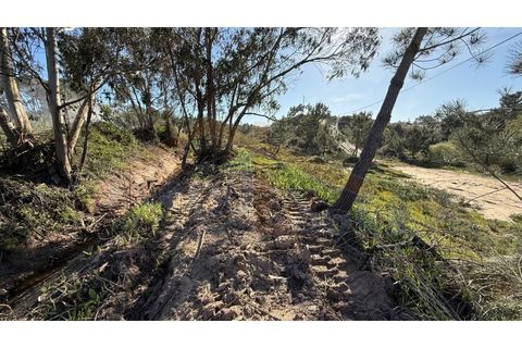 Helårsgrund i Obidos, Leiria, Obidos - € 410.000 | Ref: EL2026585 - foto 15