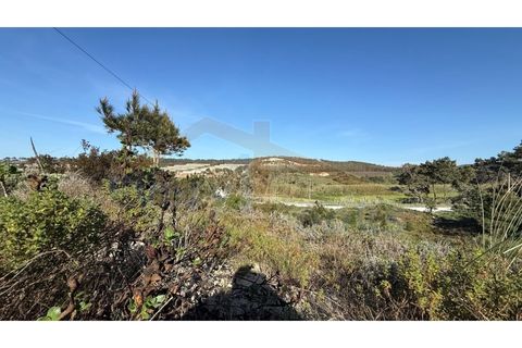Helårsgrund i Obidos, Leiria, Obidos - € 410.000 | Ref: EL2026585 - foto 16