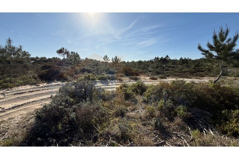 Helårsgrund i Obidos, Leiria, Obidos - € 410.000 | Ref: EL2026585 - foto 18
