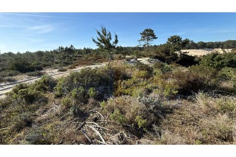 Helårsgrund i Obidos, Leiria, Obidos - € 410.000 | Ref: EL2026585 - foto 20