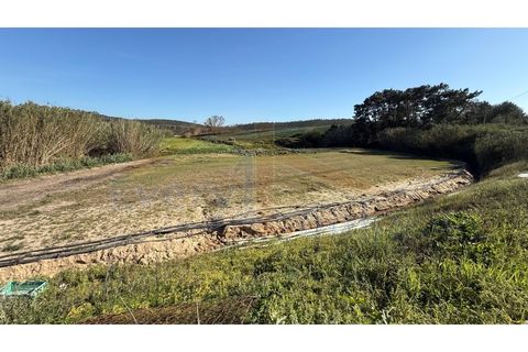 Helårsgrund i Obidos, Leiria, Obidos - € 410.000 | Ref: EL2026585 - foto 22