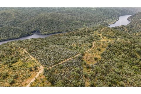 Terra a Rosmaninhal, Castelo Branco, Rosmaninhal - € 365.000 | Ref: LA98920NN - foto 3