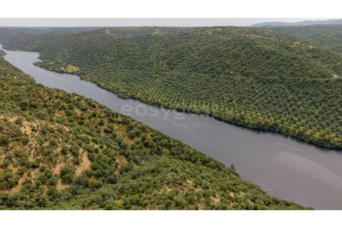 Terra a Rosmaninhal, Castelo Branco, Rosmaninhal - € 365.000 | Ref: LA98920NN - foto 4