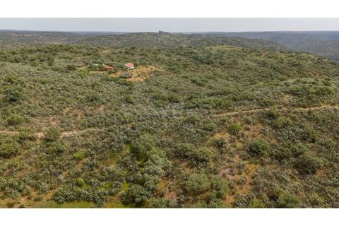 Terra a Rosmaninhal, Castelo Branco, Rosmaninhal - € 365.000 | Ref: LA98920NN - foto 9