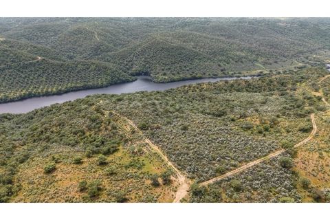 Terra a Rosmaninhal, Castelo Branco, Rosmaninhal - € 365.000 | Ref: LA98920NN - foto 11