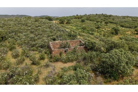 Terra a Rosmaninhal, Castelo Branco, Rosmaninhal - € 365.000 | Ref: LA98920NN - foto 12