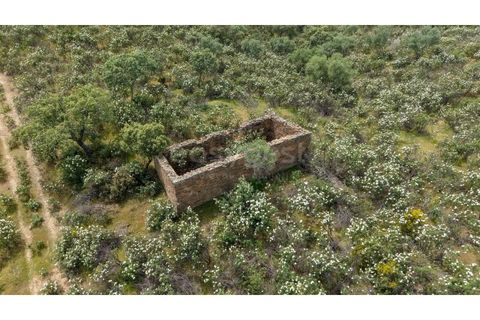 Terra a Rosmaninhal, Castelo Branco, Rosmaninhal - € 365.000 | Ref: LA98920NN - foto 13