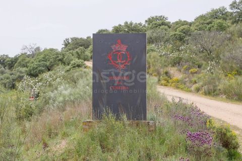 Terra a Rosmaninhal, Castelo Branco, Rosmaninhal - € 365.000 | Ref: LA98920NN - foto 14