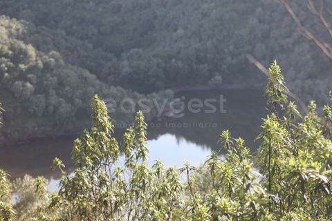 Terra a Rosmaninhal, Castelo Branco, Rosmaninhal - € 365.000 | Ref: LA98920NN - foto 15