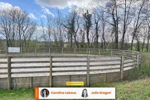 Gård i Noce, Orne, Noce - € 550 000 | Ref: 830035785586 - foto 7