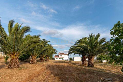 Farm hus i Evora, Evora, Evora - € 850.000 | Ref: C0484-00485 - foto 10
