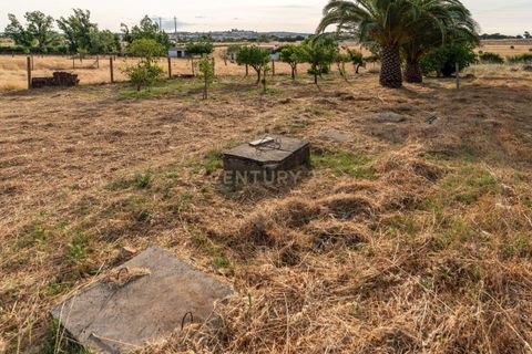 Farm hus i Evora, Evora, Evora - € 850.000 | Ref: C0484-00485 - foto 25