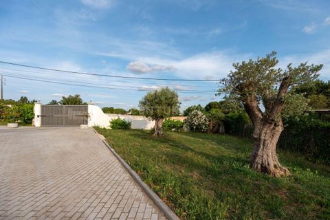 Farm hus i Evora, Evora, Evora - € 850.000 | Ref: C0484-00485 - foto 42