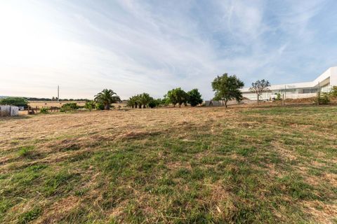 Farm hus i Evora, Evora, Evora - € 850.000 | Ref: C0484-00485 - foto 44