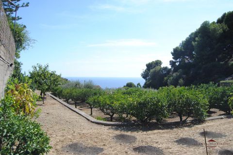 Villa i Bordighera, Imperia, Bordighera - € 600.000 | Ref: v10237v - foto 4