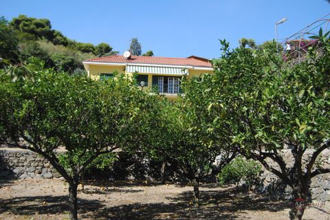 Villa i Bordighera, Imperia, Bordighera - € 600.000 | Ref: v10237v - foto 5