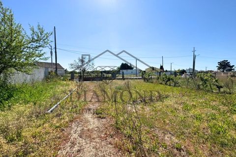 Tomt i Alpiarca, Santarem, Alpiarca - € 80 000 | Ref: DHTU-0047/2026 - foto 3