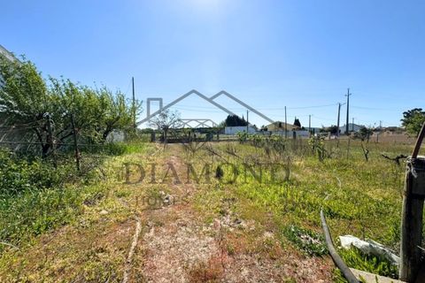 Tomt i Alpiarca, Santarem, Alpiarca - € 80 000 | Ref: DHTU-0047/2026 - foto 4