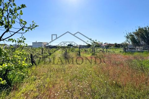 Tomt i Alpiarca, Santarem, Alpiarca - € 80 000 | Ref: DHTU-0047/2026 - foto 6