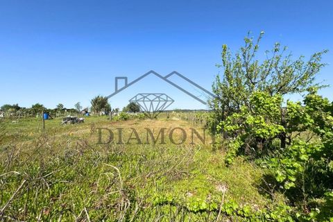 Tomt i Alpiarca, Santarem, Alpiarca - € 80 000 | Ref: DHTU-0047/2026 - foto 8