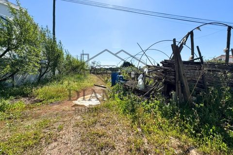 Tomt i Alpiarca, Santarem, Alpiarca - € 80 000 | Ref: DHTU-0047/2026 - foto 9