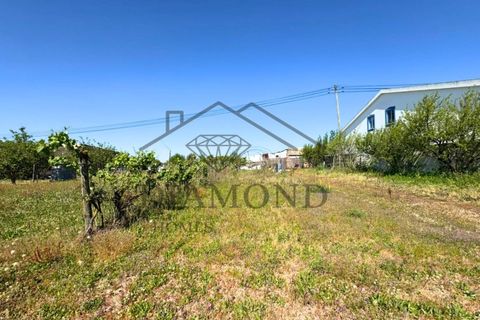 Tomt i Alpiarca, Santarem, Alpiarca - € 80 000 | Ref: DHTU-0047/2026 - foto 10