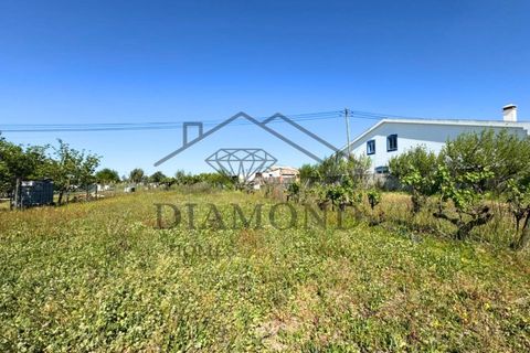 Tomt i Alpiarca, Santarem, Alpiarca - € 80 000 | Ref: DHTU-0047/2026 - foto 11