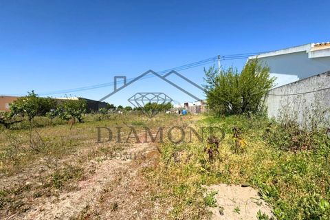 Tomt i Alpiarca, Santarem, Alpiarca - € 80 000 | Ref: DHTU-0047/2026 - foto 12