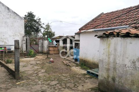 Villa i Carvalhal, Leiria, Carvalhal - € 160.000 | Ref: 321/M/01270 - foto 2