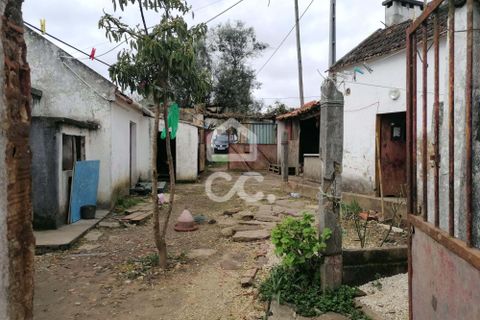 Villa i Carvalhal, Leiria, Carvalhal - € 160.000 | Ref: 321/M/01270 - foto 3