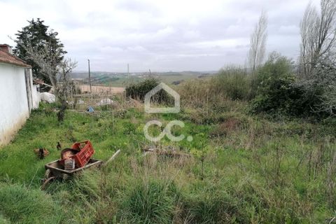 Villa i Carvalhal, Leiria, Carvalhal - € 160.000 | Ref: 321/M/01270 - foto 4