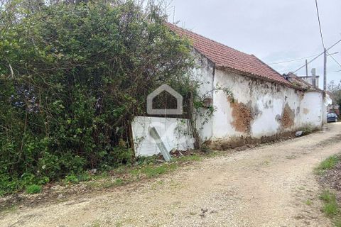 Villa i Carvalhal, Leiria, Carvalhal - € 160.000 | Ref: 321/M/01270 - foto 5
