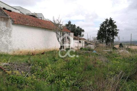 Villa i Carvalhal, Leiria, Carvalhal - € 160.000 | Ref: 321/M/01270 - foto 6