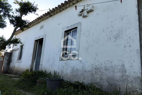 Villa i Carvalhal, Leiria, Carvalhal - € 160.000 | Ref: 321/M/01270 - foto 9