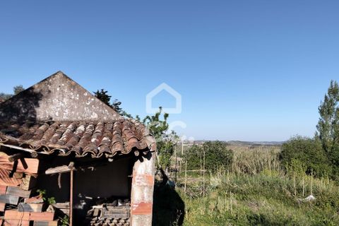 Villa i Carvalhal, Leiria, Carvalhal - € 160.000 | Ref: 321/M/01270 - foto 10