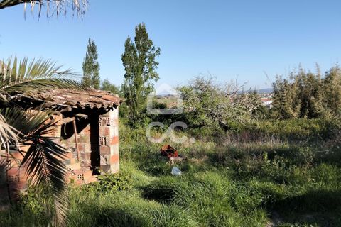 Villa i Carvalhal, Leiria, Carvalhal - € 160.000 | Ref: 321/M/01270 - foto 11