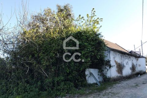 Villa i Carvalhal, Leiria, Carvalhal - € 160.000 | Ref: 321/M/01270 - foto 13