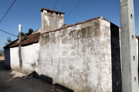 Villa i Carvalhal, Leiria, Carvalhal - € 160.000 | Ref: 321/M/01270 - foto 14