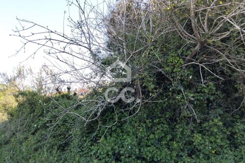 Villa i Carvalhal, Leiria, Carvalhal - € 160.000 | Ref: 321/M/01270 - foto 15