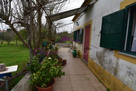 Helårsgrund i Mouriscas, Santarem, Mouriscas - € 195.000 | Ref: 2498 - foto 4