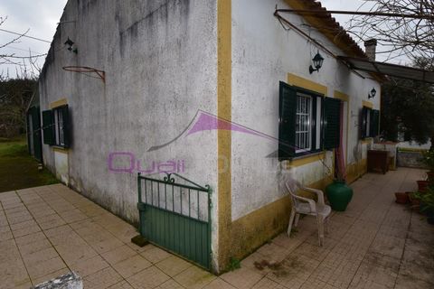 Helårsgrund i Mouriscas, Santarem, Mouriscas - € 195.000 | Ref: 2498 - foto 5